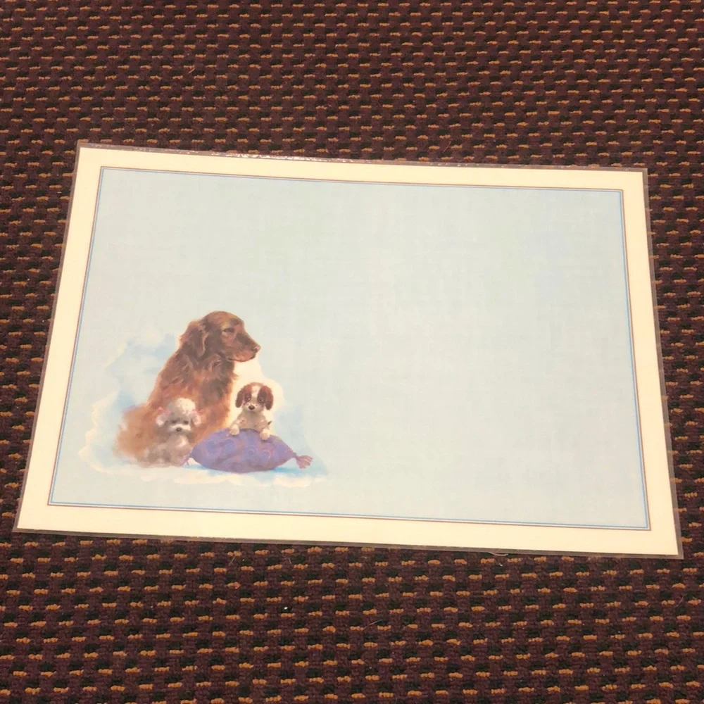 NWT Reversible Pet Bowl Dog food or water Plasticized Floor Placemat!